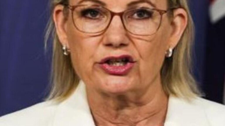 urgent-sussan-ley-faces-leadership-challenge-amid-frustration