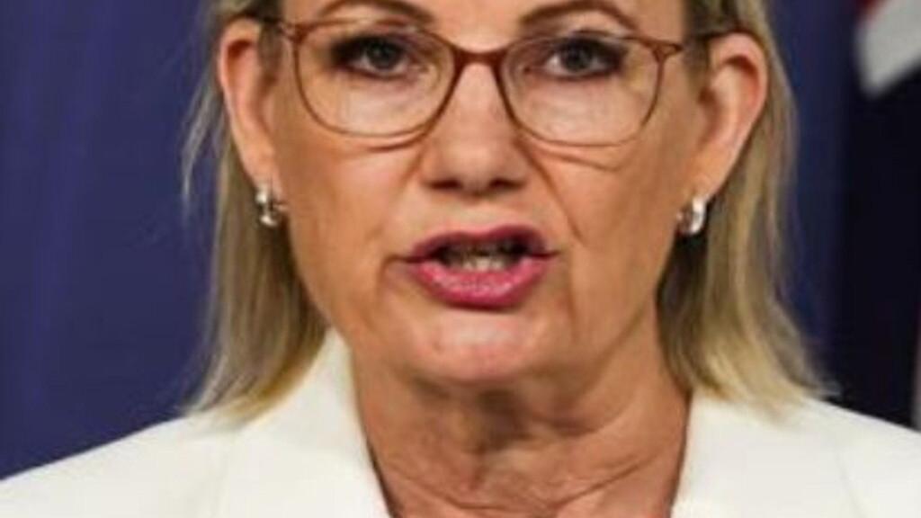 urgent-sussan-ley-faces-leadership-challenge-amid-frustration