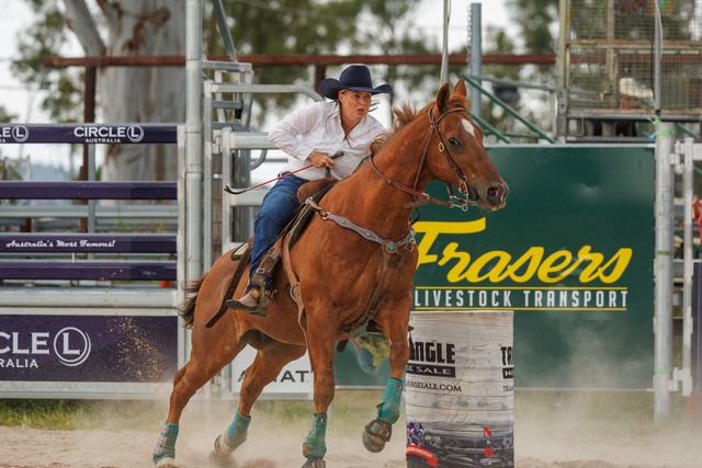 warwick-new-year-s-eve-rodeo-thrills-crowds-with-action-packed-events