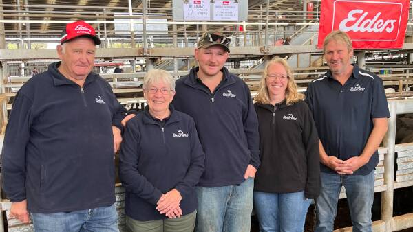 weaned-steers-fetch-premium-at-leongatha-amid-market-decline