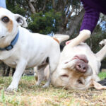 year-in-review-top-photos-captured-by-gazette-s-best-photographers