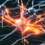 youngest-alzheimer-s-patient-at-19-challenges-medical-norms