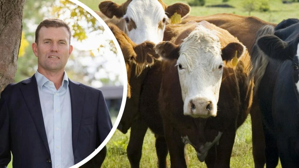 Managing Director of Meat and Livestock Australia Michael Crowley.