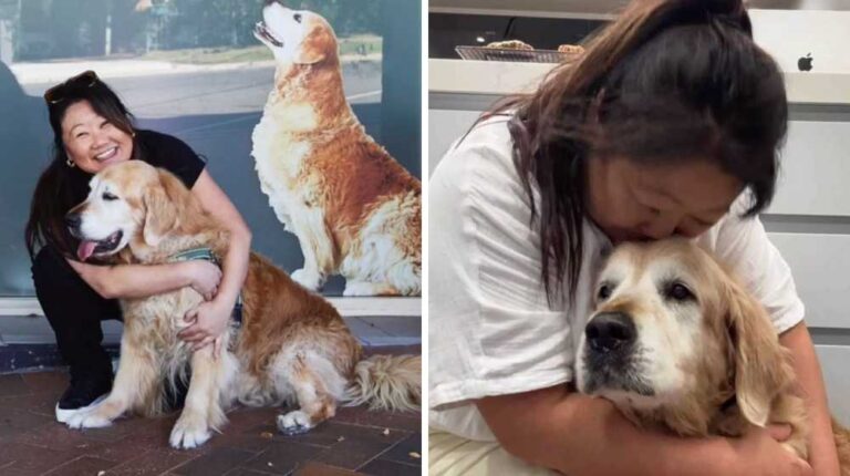 beloved-dog-of-recipetin-eats-nagi-maehashi-passes-away