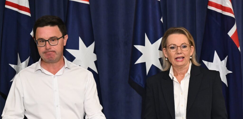 coalition-leaders-patch-up-tensions-amid-poll-challenges