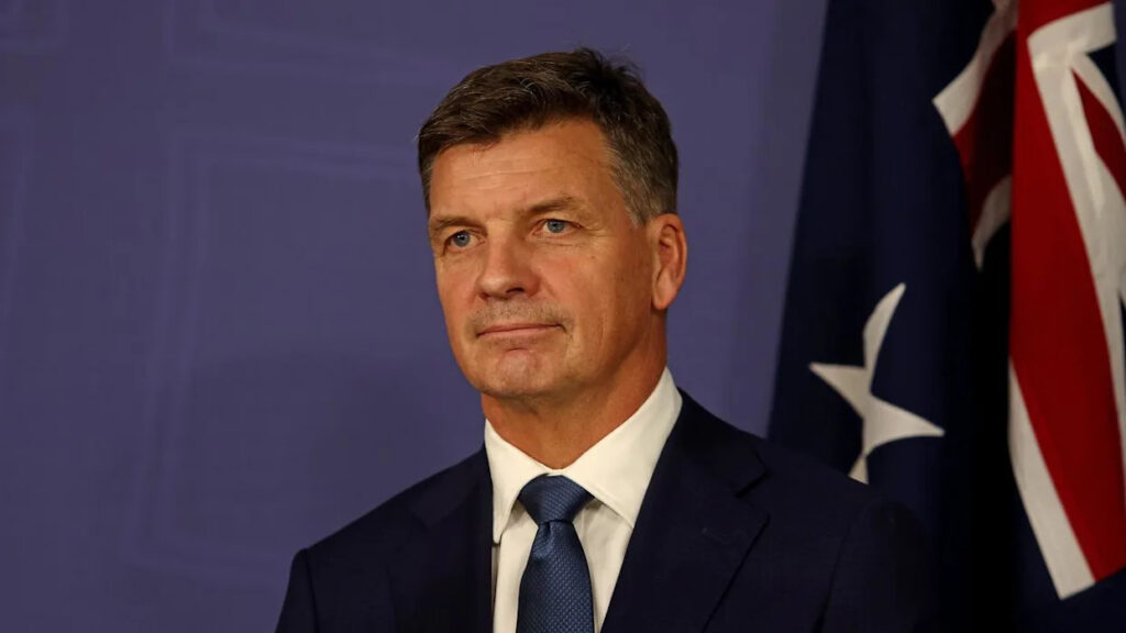 coalition-proposes-tough-new-laws-to-block-isis-brides-return