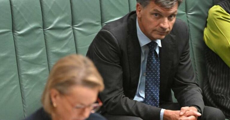 liberal-frontbencher-angus-taylor-denies-leadership-coup-plans