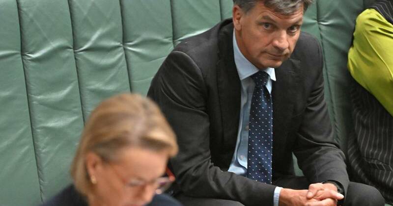 liberal-frontbencher-angus-taylor-denies-leadership-coup-plans