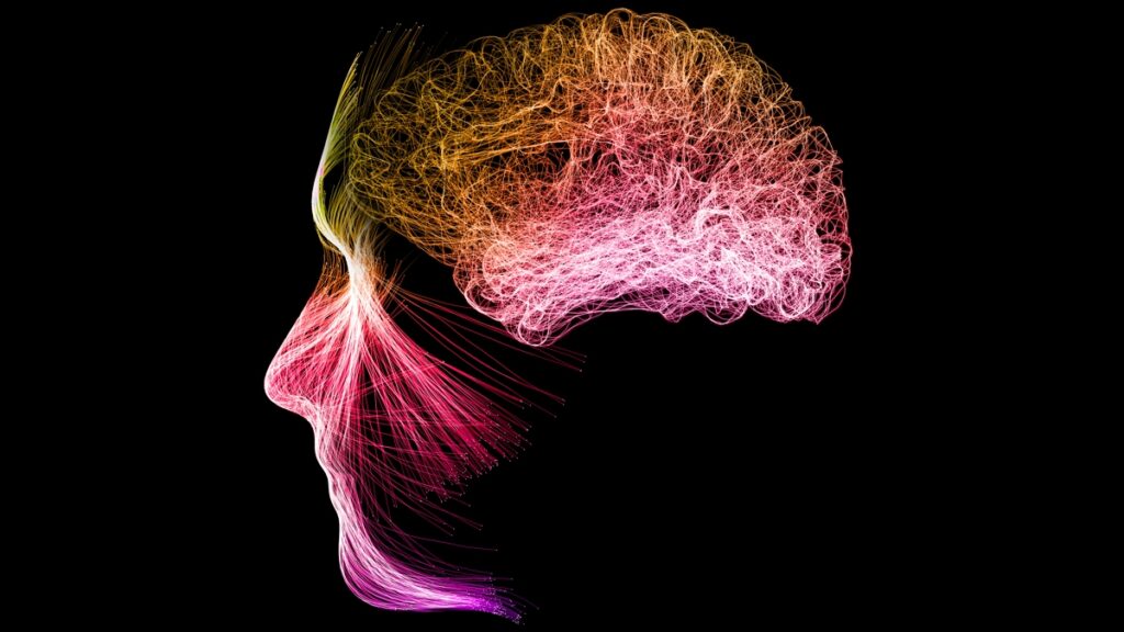 meditation-reshapes-brain-activity-study-finds-new-insights