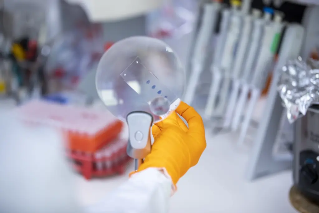 new-study-links-cadasil-to-brain-function-disruption