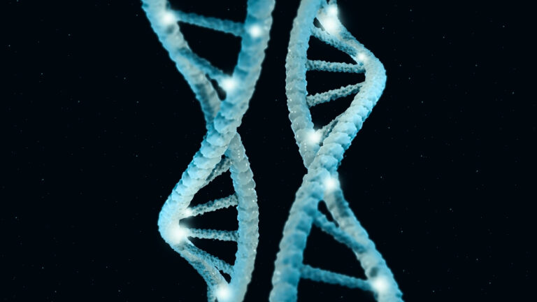 new-study-reveals-genetics-may-play-bigger-role-in-longevity