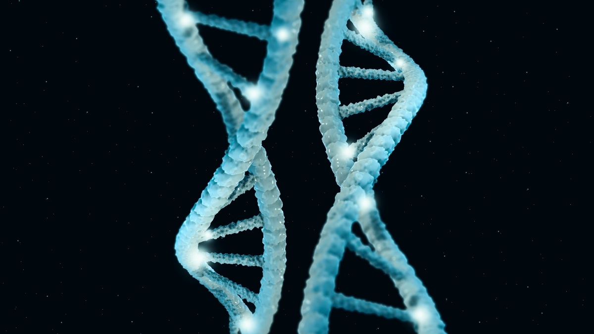 new-study-reveals-genetics-may-play-bigger-role-in-longevity
