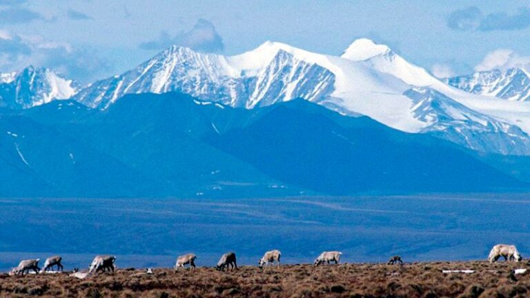 nova-minerals-faces-scrutiny-from-us-hedge-fund-over-mine-viability