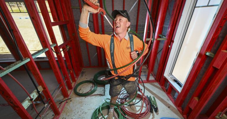 plumber-takes-center-stage-in-joseph-and-the-amazing-technicolor-dreamcoat