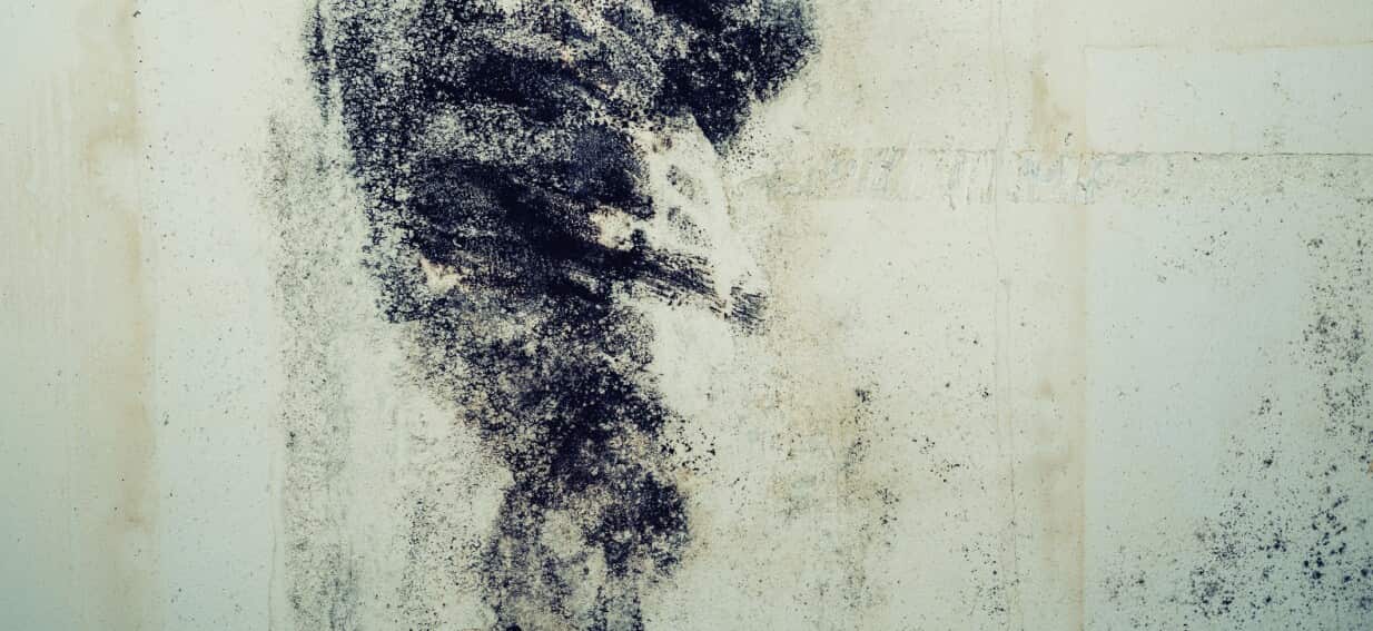 rent-hikes-pressure-australians-struggling-families-face-crisis