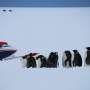researchers-launch-flight-campaign-to-study-antarctic-cloud-formation