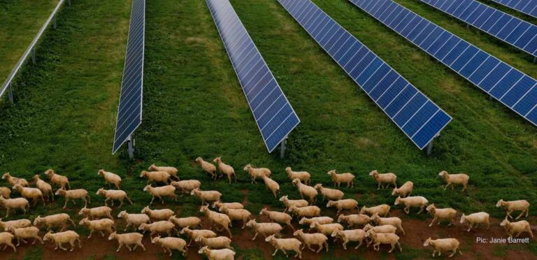 residents-of-wallaroo-weigh-legal-options-after-court-ruling-on-solar-farm
