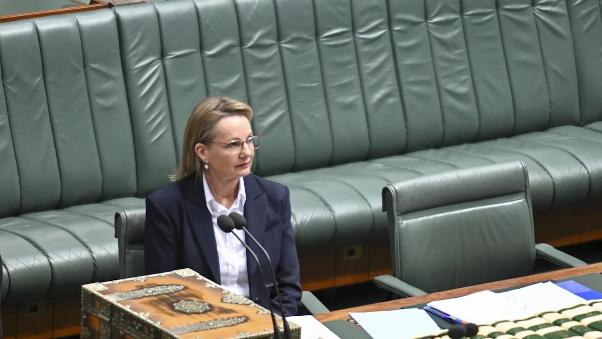 sussan-ley-ousted-after-just-nine-months-as-liberal-leader