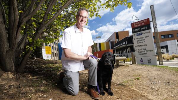therapy-dog-lachie-brings-comfort-to-cancer-patients-in-canberra
