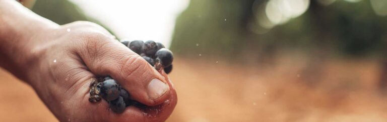 understanding-collagen-s-role-in-skin-ageing-across-life-stages