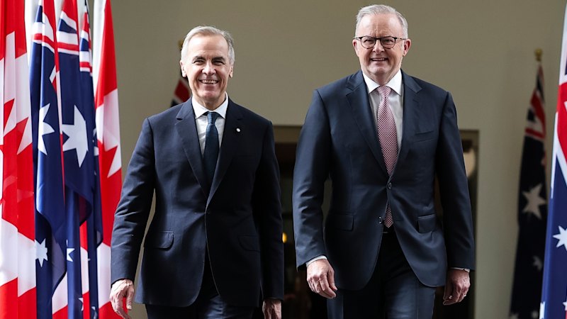 albanese-should-observe-canada-s-immigration-strategy