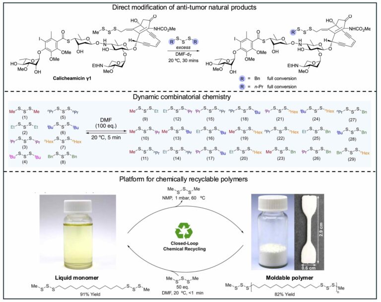 new-chemical-reaction-opens-pathways-for-innovation-in-multiple-fields