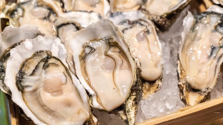 oysters-and-clams-recalled-in-nine-states-due-to-norovirus-risk