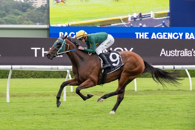 sheza-alibi-claims-stunning-group-1-victory-in-central-queensland